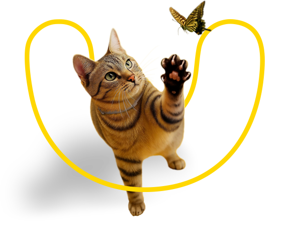 Deixá-los SER ANIMAIS, é BOM para a SAÚDE!