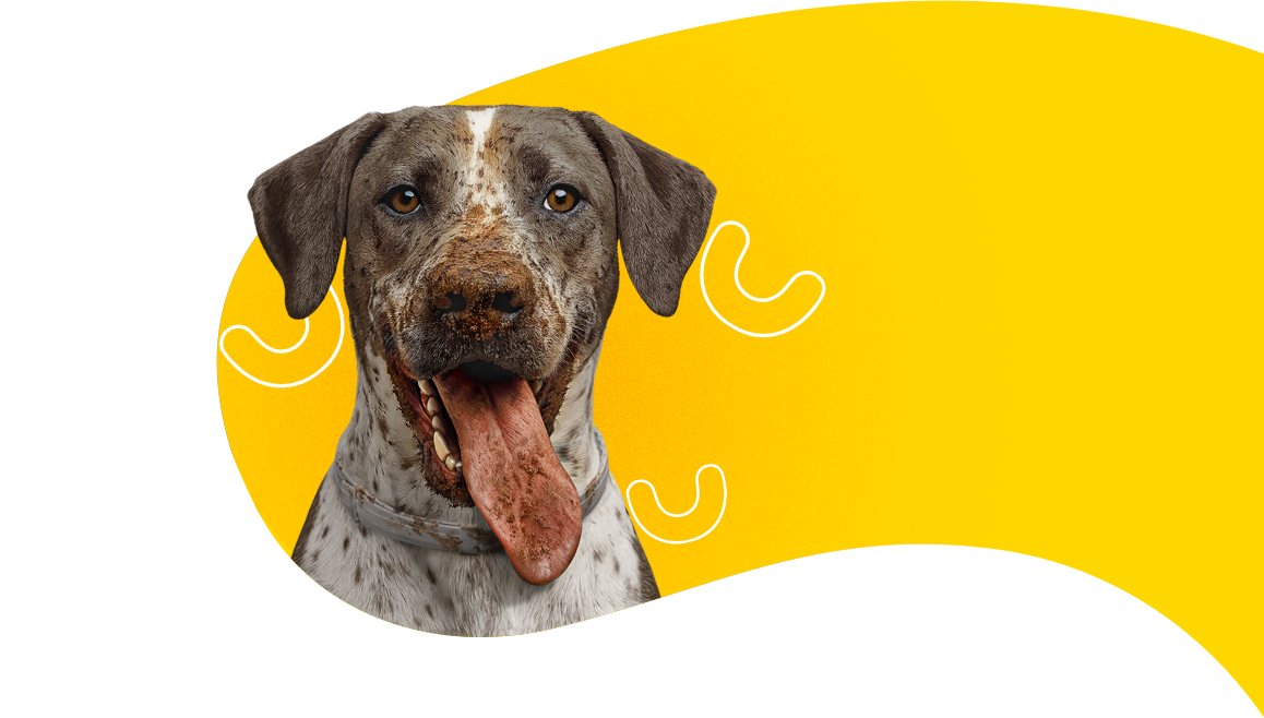 Simbia for dogs